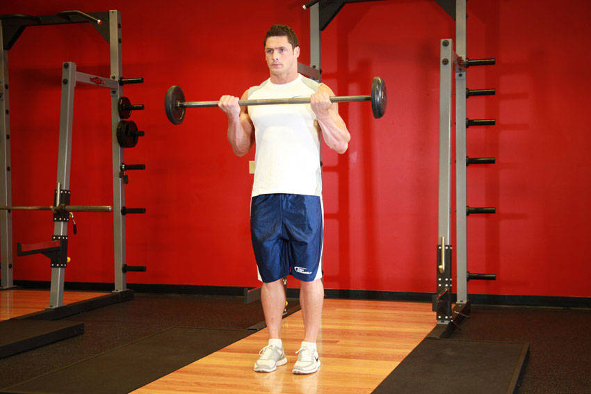 Barbell Curl reference position 2