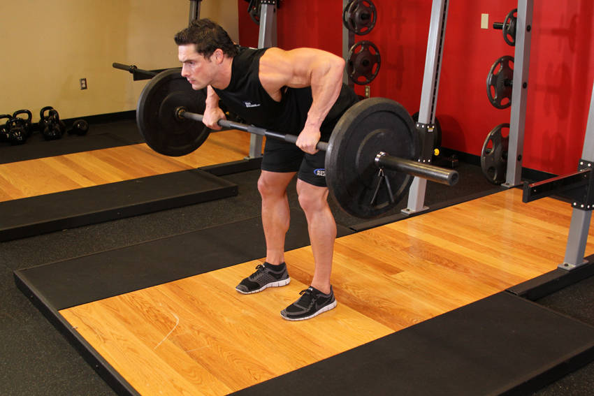 Barbell Rear Delt Row reference position 2