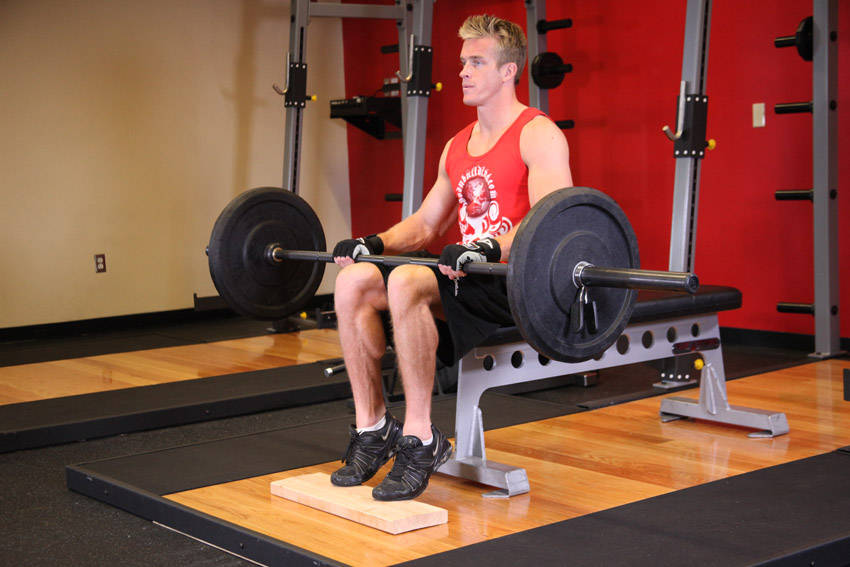 Barbell Seated Calf Raise reference position 2