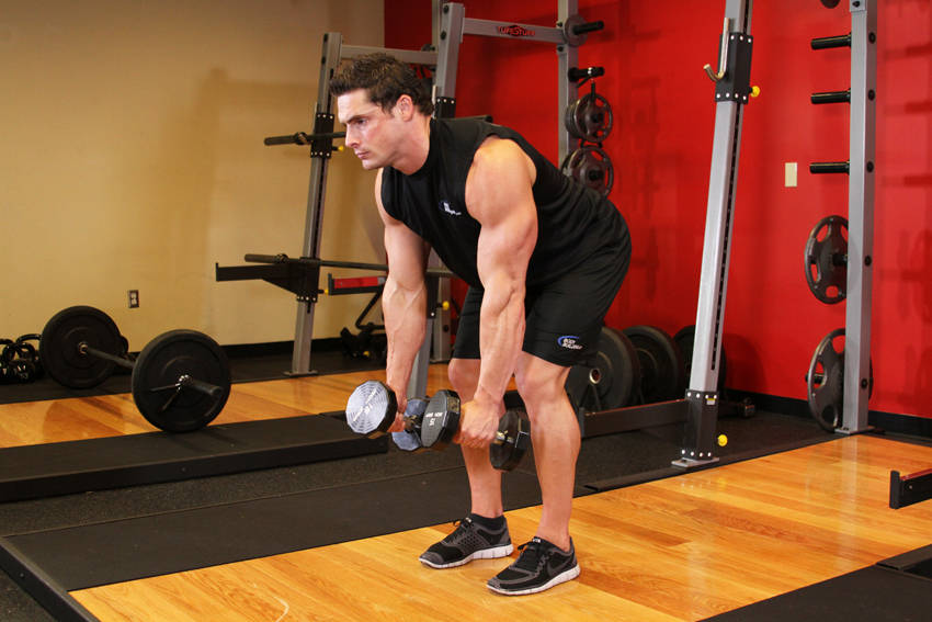 Bent Over Two-Dumbbell Row reference position 1