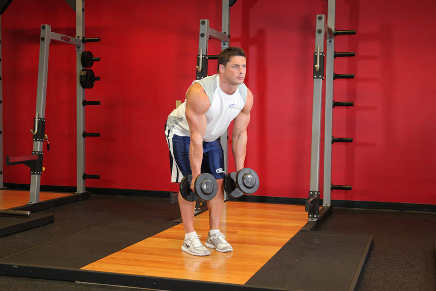 Bent Over Two-Dumbbell Row With Palms In reference position 1