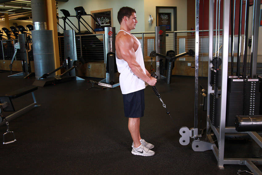 Cable Hammer Curls - Rope Attachment reference position 1