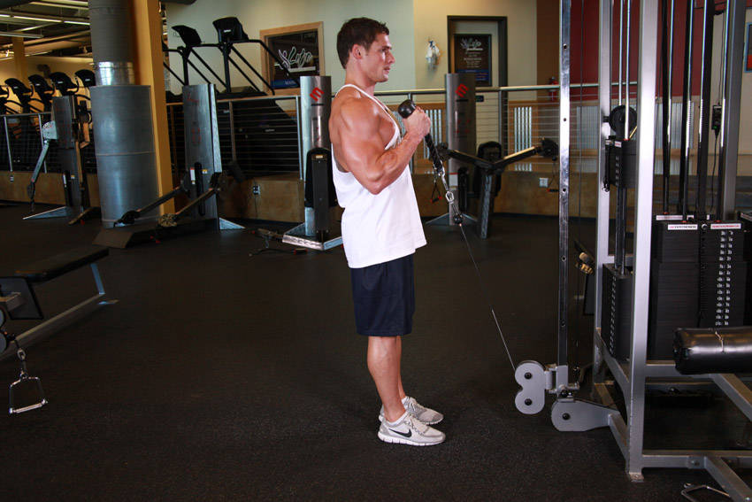 Cable Hammer Curls - Rope Attachment reference position 2