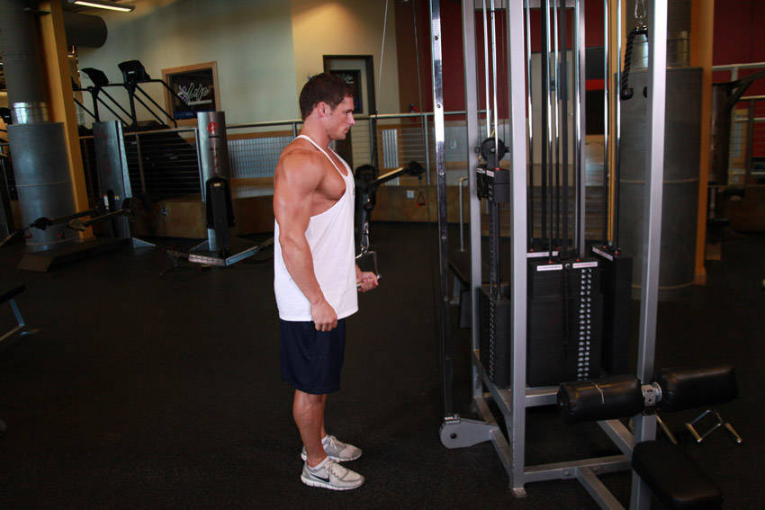 Cable One Arm Tricep Extension reference position 1