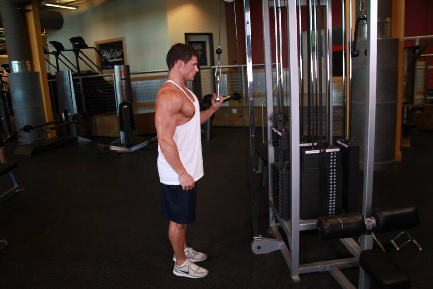 Cable One Arm Tricep Extension reference position 2