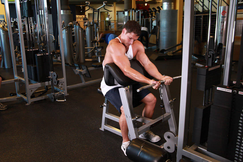 Cable Preacher Curl reference position 1