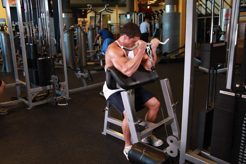 Cable Preacher Curl reference position 2