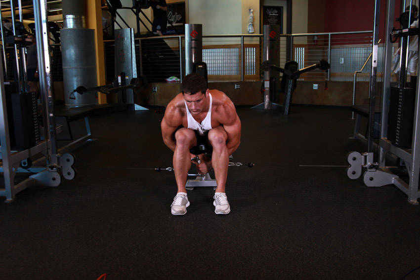 Cable Seated Lateral Raise reference position 1
