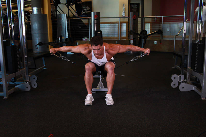 Cable Seated Lateral Raise reference position 2