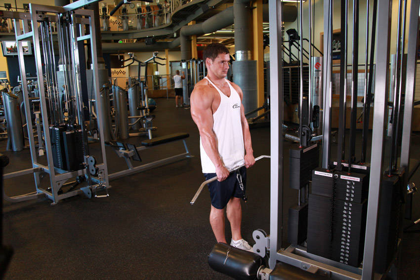 Cable Shrugs reference position 1