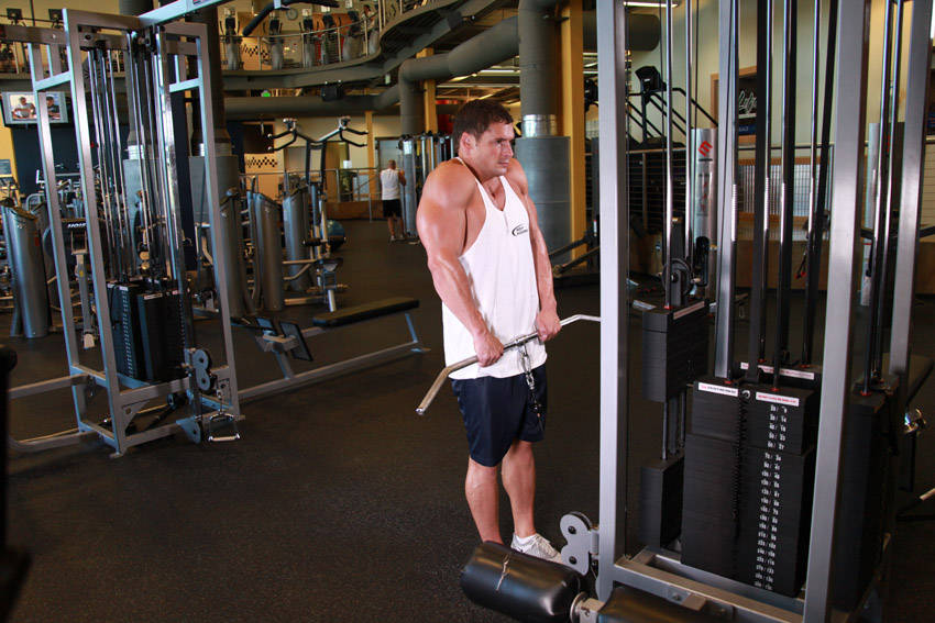 Cable Shrugs reference position 2