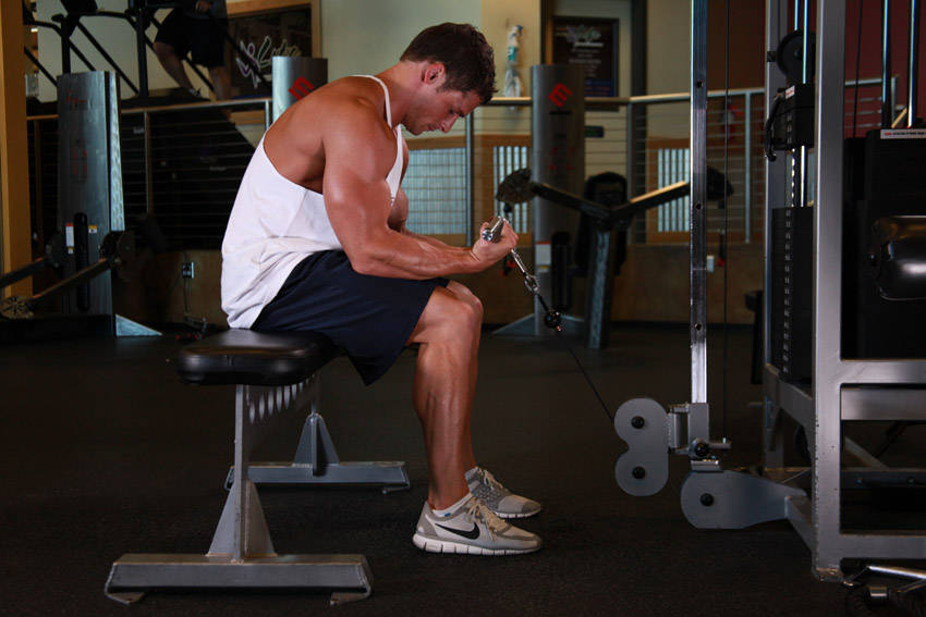 Cable Wrist Curl reference position 2