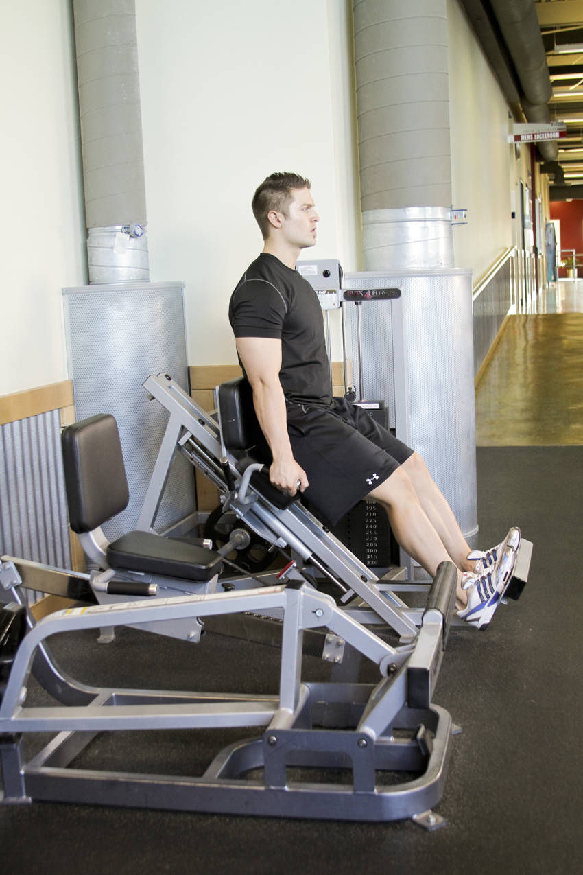 Calf Press reference position 1