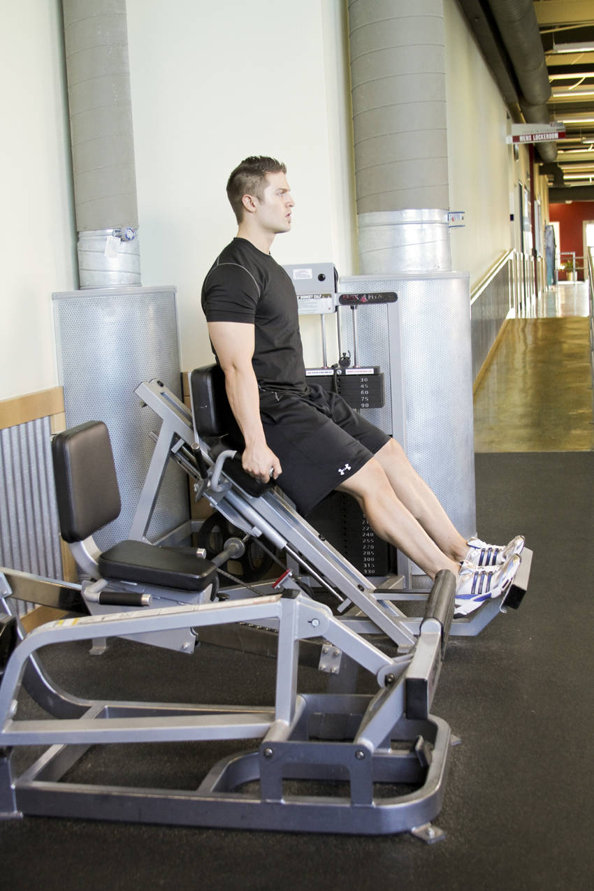 Calf Press reference position 2