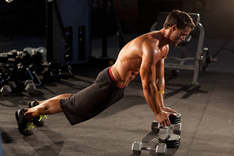 Close-Grip Push-Up off of a Dumbbell reference position 1
