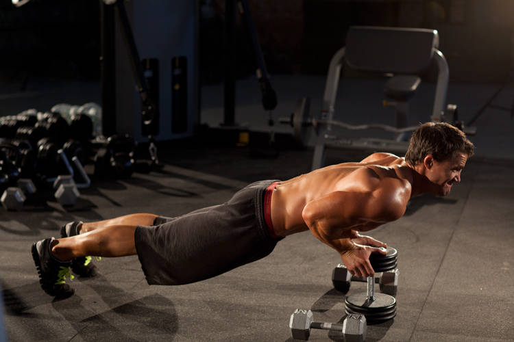 Close-Grip Push-Up off of a Dumbbell reference position 2