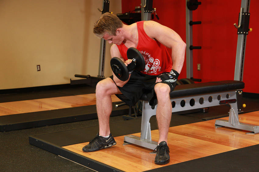 Concentration Curls reference position 2