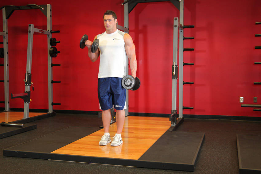 Dumbbell Alternate Bicep Curl reference position 1