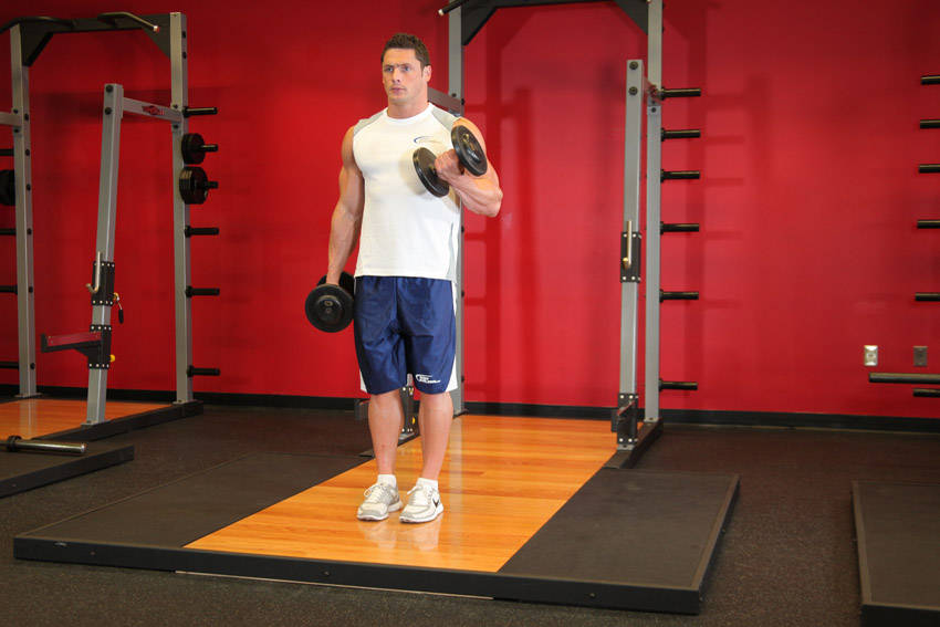Dumbbell Alternate Bicep Curl reference position 2