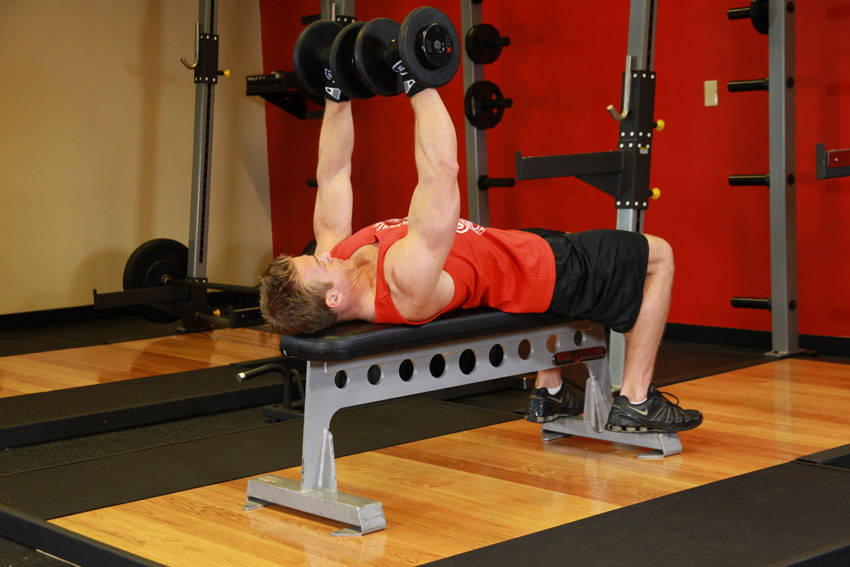 Dumbbell Bench Press reference position 2