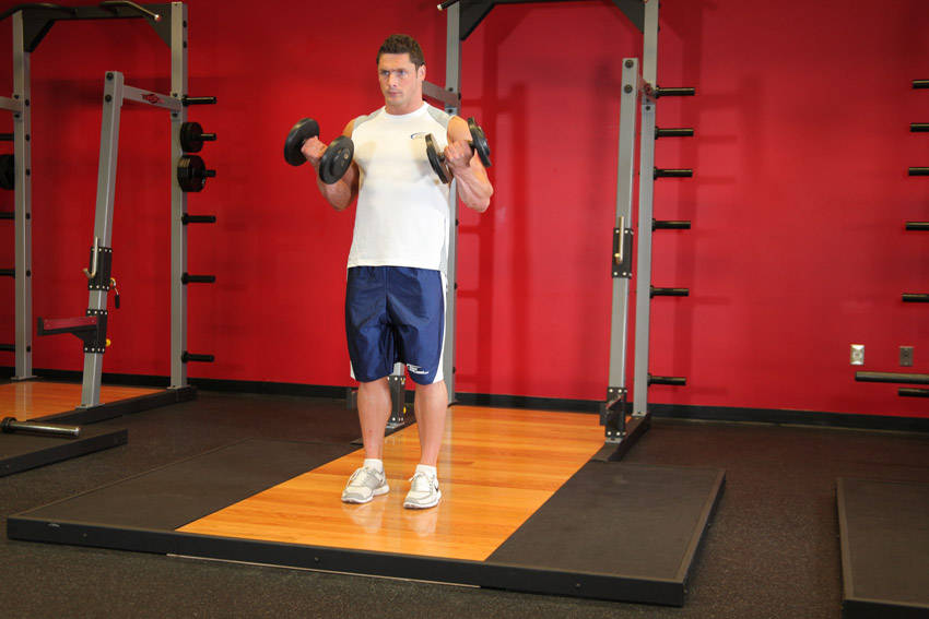 Dumbbell Bicep Curl reference position 2