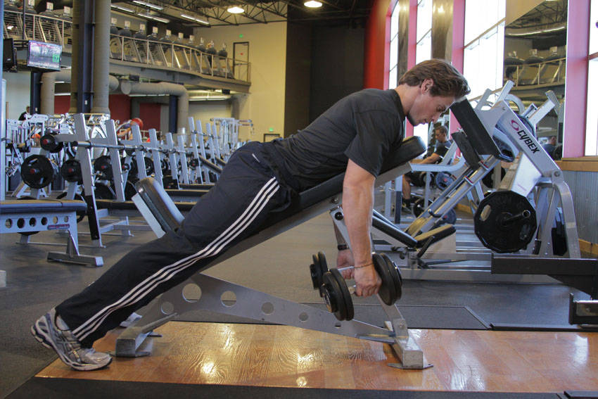 Dumbbell Incline Row reference position 1
