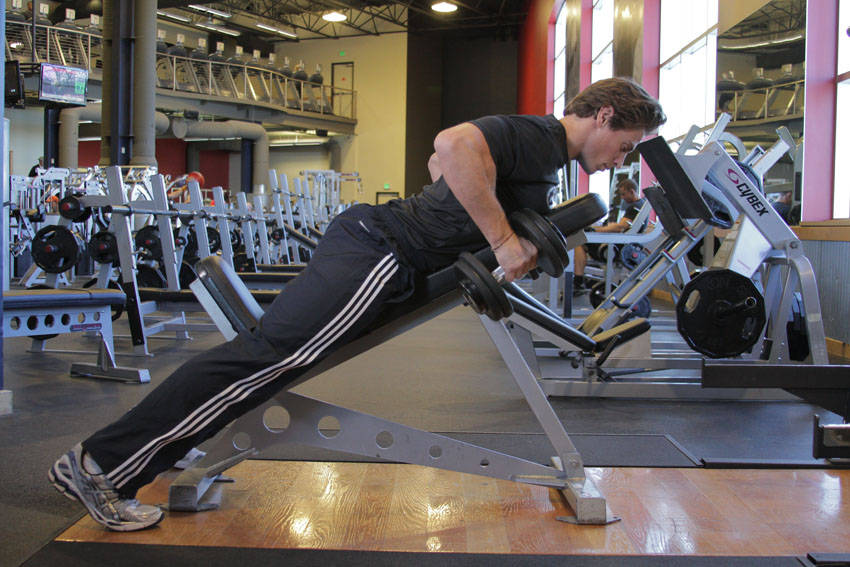 Dumbbell Incline Row reference position 2