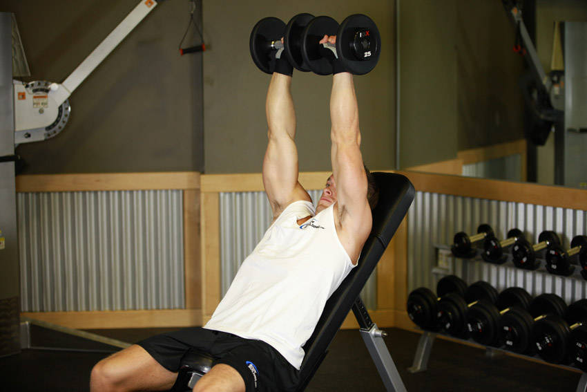 Dumbbell Incline Shoulder Raise reference position 2