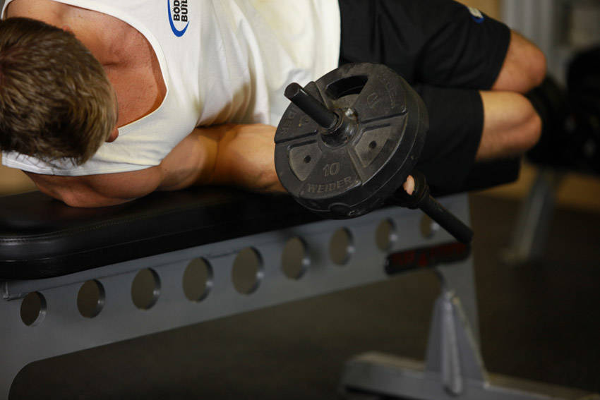 Dumbbell Lying Pronation reference position 2