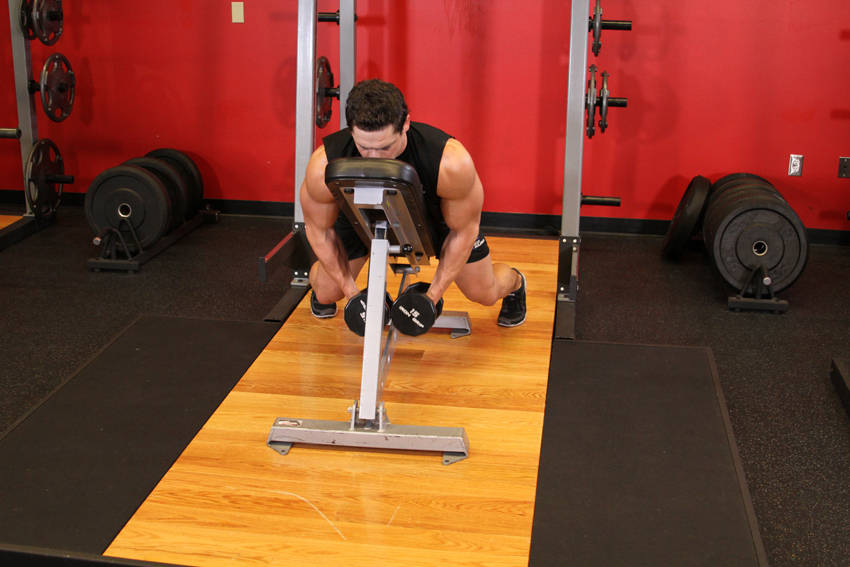 Dumbbell Lying Rear Lateral Raise reference position 1