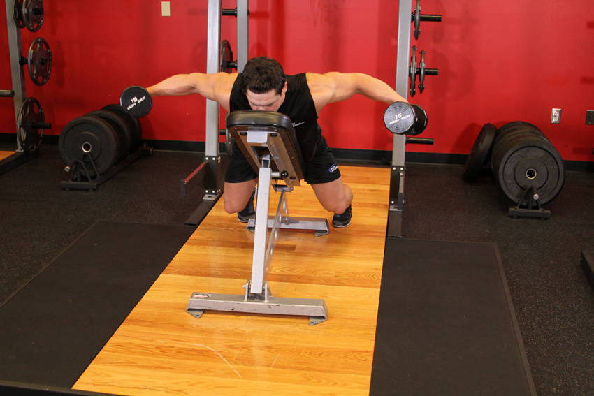 Dumbbell Lying Rear Lateral Raise reference position 2