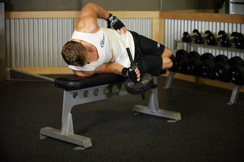 Dumbbell Lying Supination reference position 2