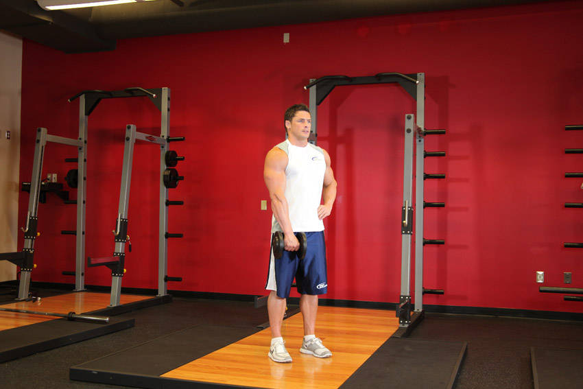 Dumbbell One-Arm Upright Row reference position 2