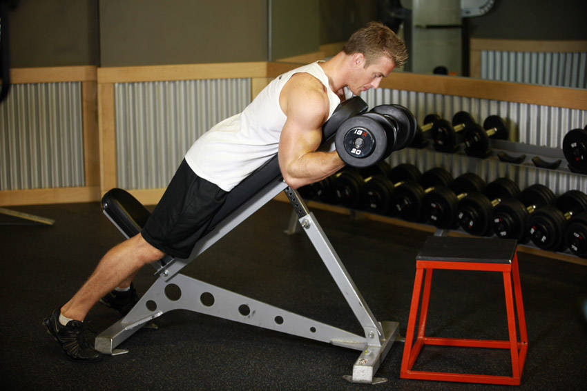 Dumbbell Prone Incline Curl reference position 1
