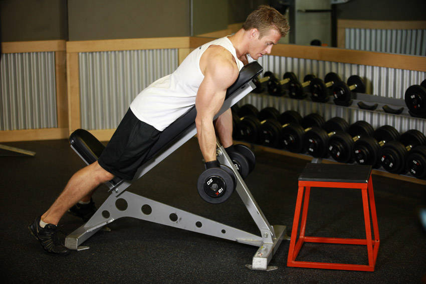 Dumbbell Prone Incline Curl reference position 2