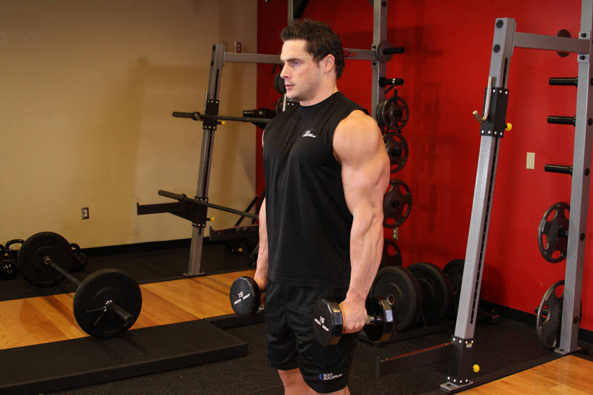 Dumbbell Raise reference position 1