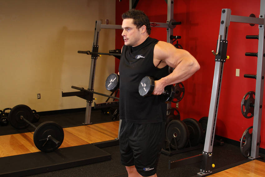 Dumbbell Raise reference position 2