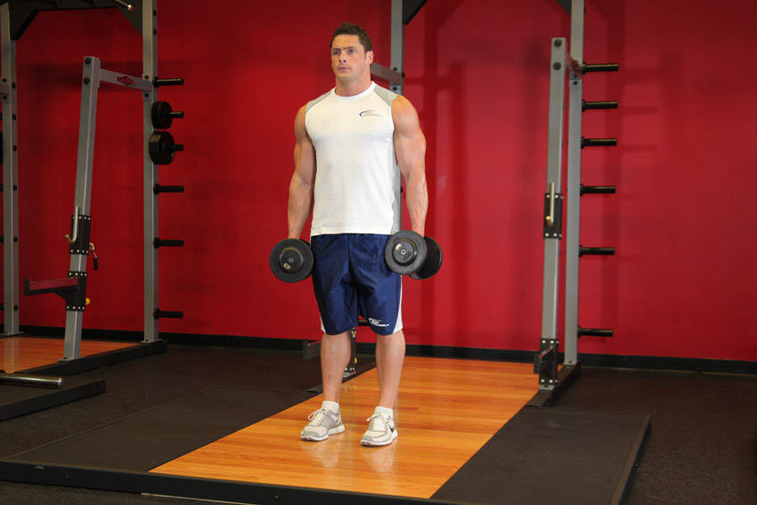Dumbbell Rear Lunge reference position 1