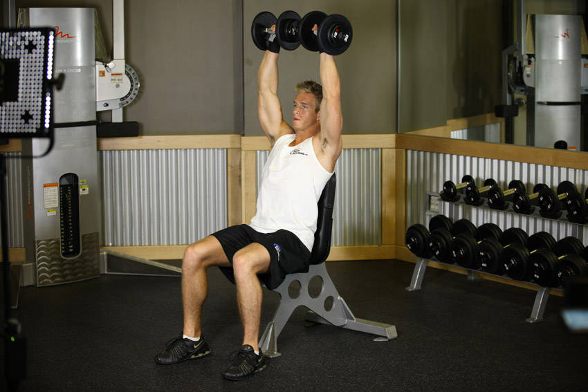 Dumbbell Shoulder Press reference position 2