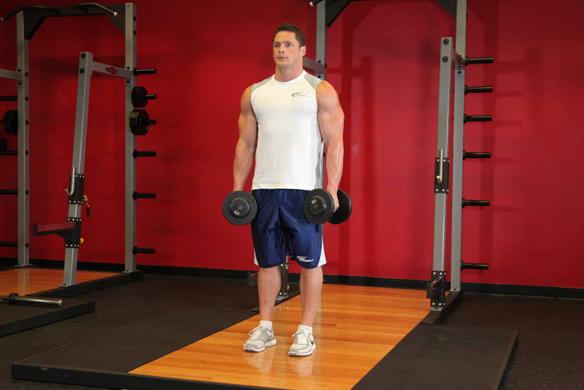 Dumbbell Shrug reference position 1