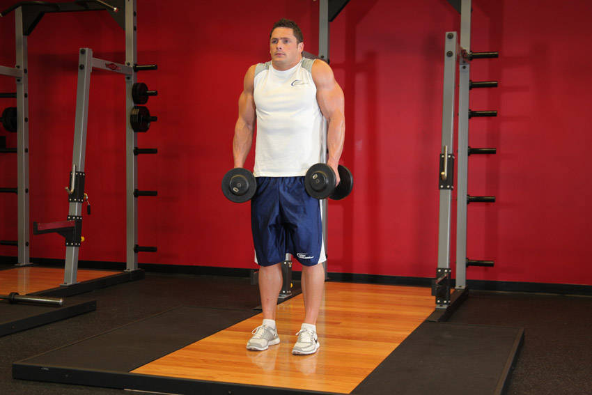 Dumbbell Shrug reference position 2
