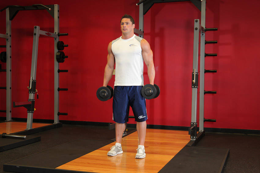 Dumbbell Squat reference position 1