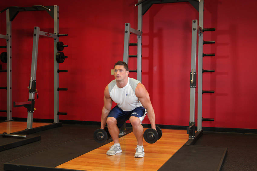 Dumbbell Squat reference position 2