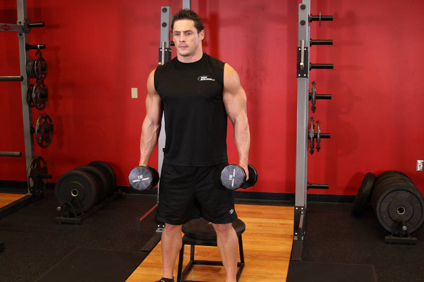 Dumbbell Squat To A Bench reference position 1