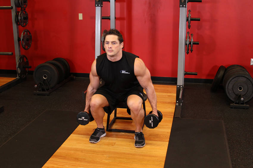 Dumbbell Squat To A Bench reference position 2