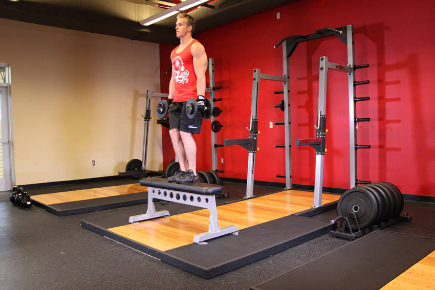 Dumbbell Step Ups reference position 1
