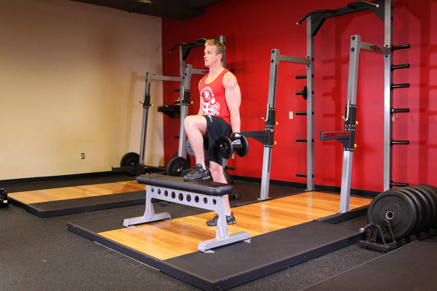 Dumbbell Step Ups reference position 2