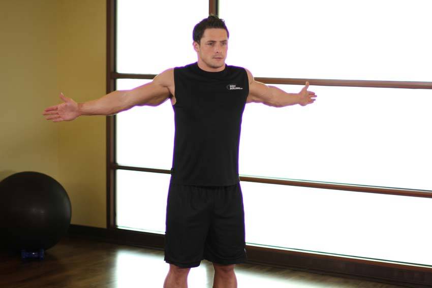 Dynamic Chest Stretch reference position 2