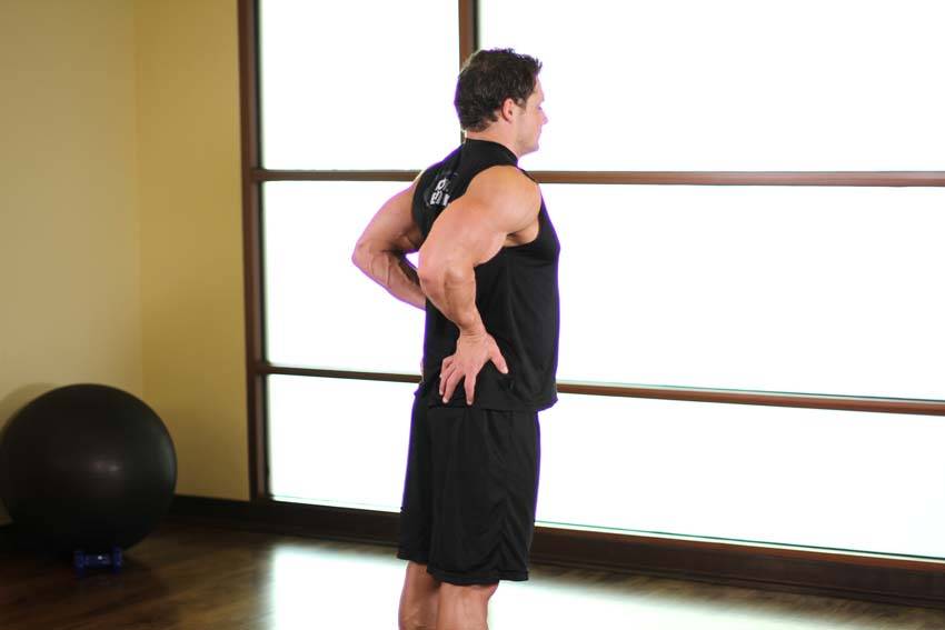 Elbows Back reference position 2