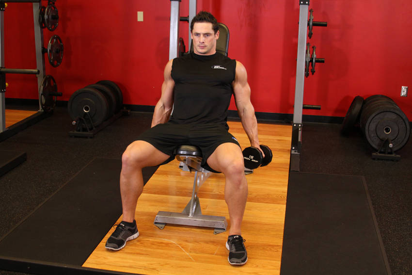 Flexor Incline Dumbbell Curls reference position 1